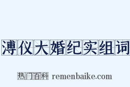 溥仪大婚纪实组词是什么意思的图片